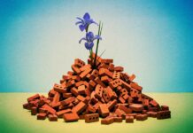 У новинах: цегла з руїн, помилки ІІ та супутникова гонка Кремнієвої долини